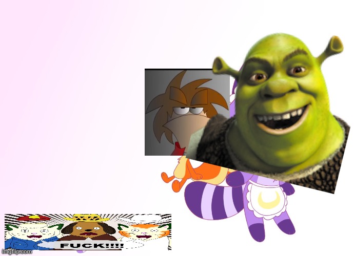 Maidcoon But More Creative | image tagged in miracle machine,shrek | made w/ Imgflip meme maker