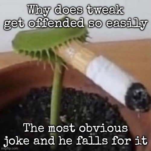 plant weeds | Why does tweak get offended so easily; The most obvious joke and he falls for it | image tagged in plant weeds,msmg | made w/ Imgflip meme maker