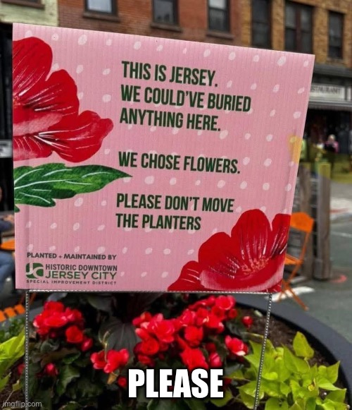 Please | PLEASE | image tagged in flowers,please | made w/ Imgflip meme maker