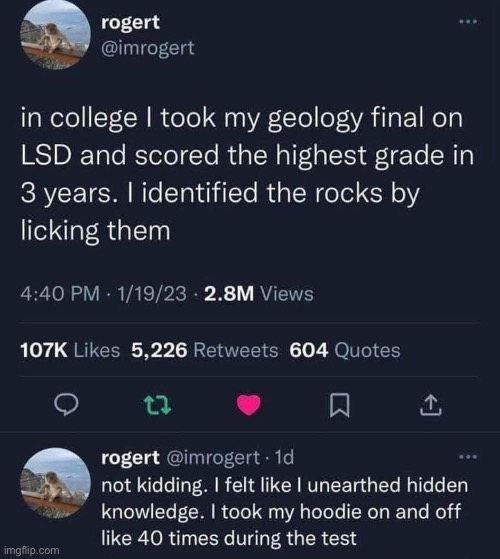 Geology | image tagged in rocks,acid | made w/ Imgflip meme maker