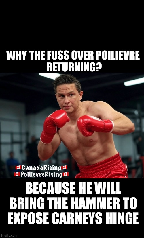 CanadaRising | WHY THE FUSS OVER POILIEVRE 
RETURNING? BECAUSE HE WILL BRING THE HAMMER TO EXPOSE CARNEYS HINGE | made w/ Imgflip meme maker