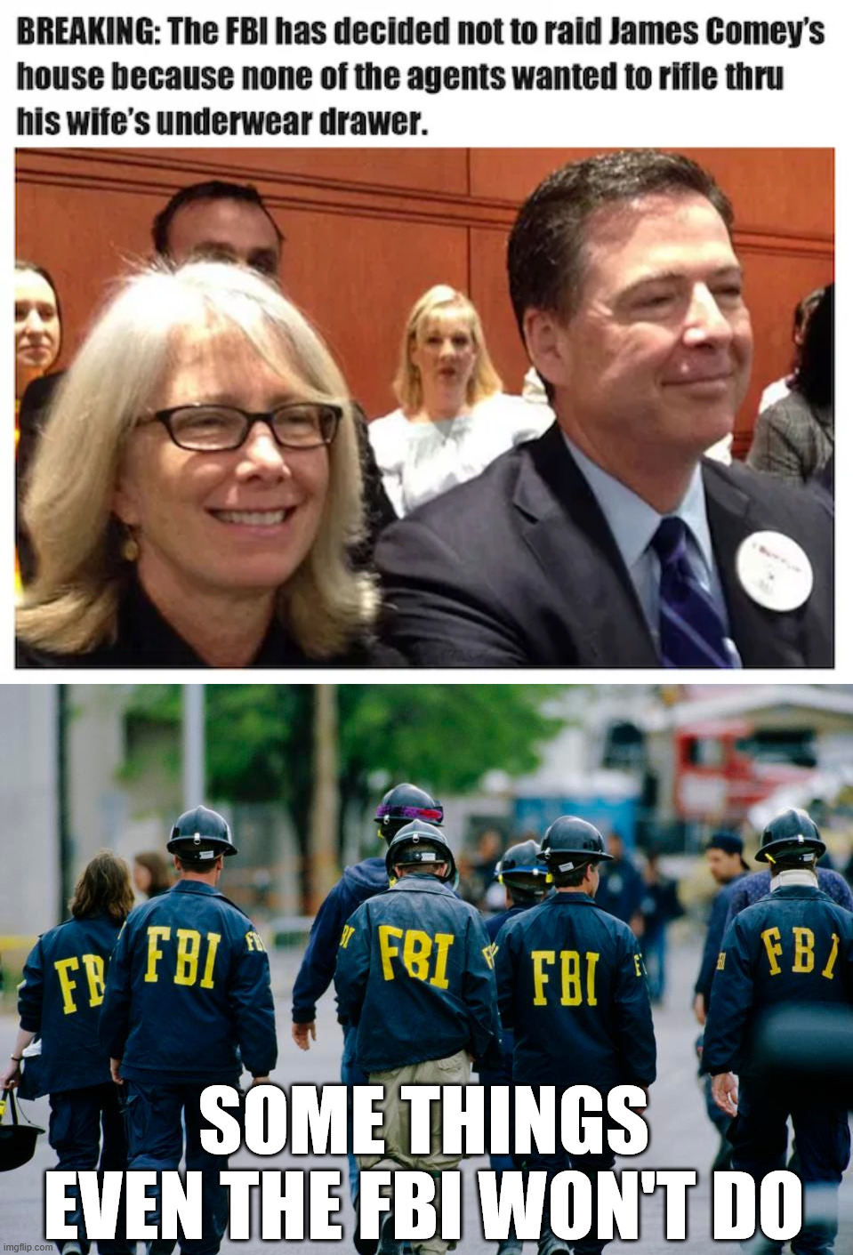 SOME THINGS EVEN THE FBI WON'T DO | image tagged in criminal,james comey | made w/ Imgflip meme maker