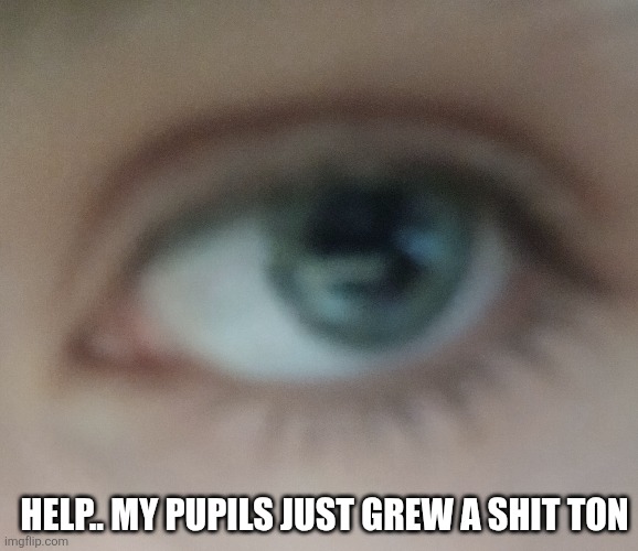 I know why but I didn't expect it LOL | HELP.. MY PUPILS JUST GREW A SHIT TON | made w/ Imgflip meme maker