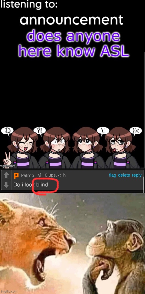 image tagged in dumbass yelling at m o n k e | made w/ Imgflip meme maker