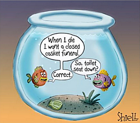 Fish have wills too | image tagged in memes,comics | made w/ Imgflip meme maker