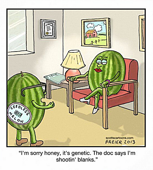 the unintended emotional consequences of GMO produce | image tagged in memes,comics,melons | made w/ Imgflip meme maker