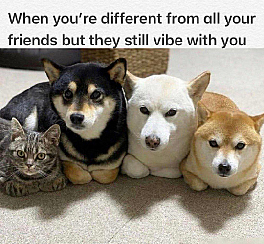 fr | image tagged in memes,middle school | made w/ Imgflip meme maker