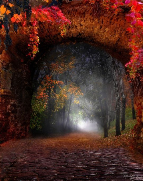 Autumn In Heaven | image tagged in autumn,autumn leaves,colors,beautiful,landscape,scenery | made w/ Imgflip meme maker