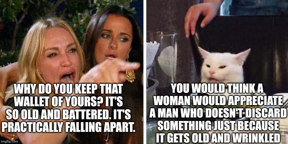 Smudge that darn cat with Karen | YOU WOULD THINK A  WOMAN WOULD APPRECIATE A MAN WHO DOESN'T DISCARD SOMETHING JUST BECAUSE IT GETS OLD AND WRINKLED; WHY DO YOU KEEP THAT WALLET OF YOURS? IT'S SO OLD AND BATTERED. IT'S PRACTICALLY FALLING APART. | image tagged in smudge that darn cat with karen | made w/ Imgflip meme maker