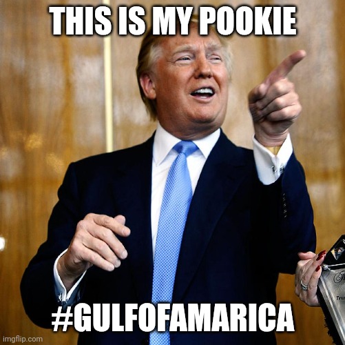 The N word | THIS IS MY POOKIE; #GULFOFAMARICA | image tagged in donal trump birthday | made w/ Imgflip meme maker