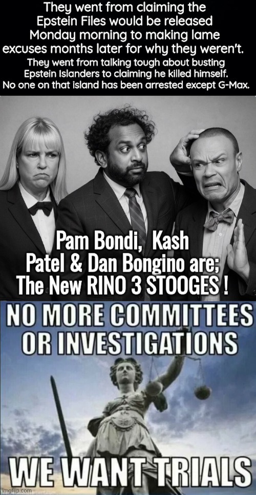 We want results not stooges | image tagged in jeffrey epstein,island,cover up | made w/ Imgflip meme maker
