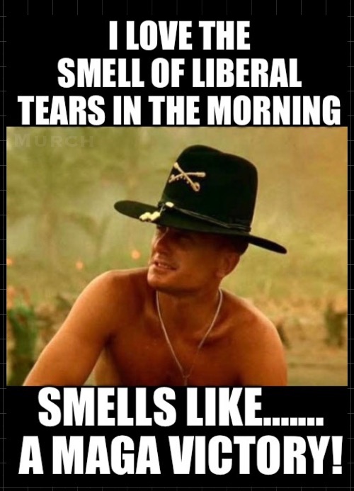 MAGA Victory | image tagged in liberal privilege,maga,liberal tears,crying democrats,crybabies,whining | made w/ Imgflip meme maker