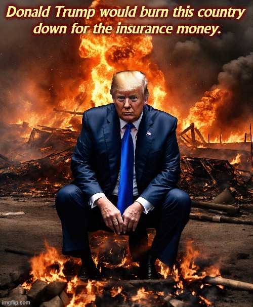 You? You're nobody. | Donald Trump would burn this country 
down for the insurance money. | image tagged in trump,arson,insurance,selfish,greedy,malignant narcissism | made w/ Imgflip meme maker