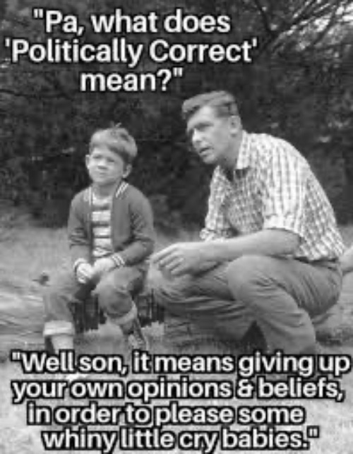 Political Correctness | image tagged in political correctness,liberal privilege,liberal tears,crying democrats,crybabies,communist socialist | made w/ Imgflip meme maker