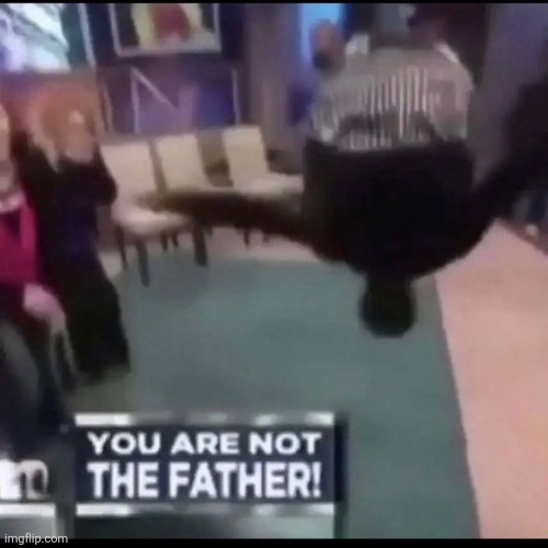 You are not the father! | image tagged in you are not the father | made w/ Imgflip meme maker