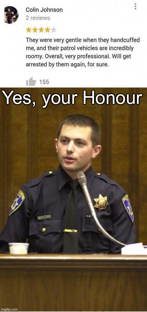 Police brutality: doing it wrong | Yes, your Honour | image tagged in memes,police officer testifying | made w/ Imgflip meme maker