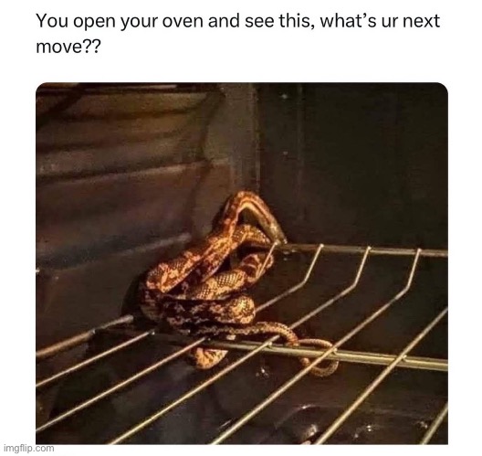 Snek | image tagged in snek,oven | made w/ Imgflip meme maker