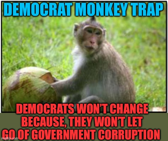 Democratic corruption, can’t give it up | DEMOCRAT MONKEY TRAP; DEMOCRATS WON’T CHANGE BECAUSE, THEY WON’T LET GO OF GOVERNMENT CORRUPTION | image tagged in gifs,meme,government corruption,democrats,selfishness | made w/ Imgflip meme maker