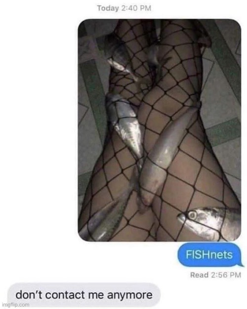 Fishnets | image tagged in fishnets,fish | made w/ Imgflip meme maker
