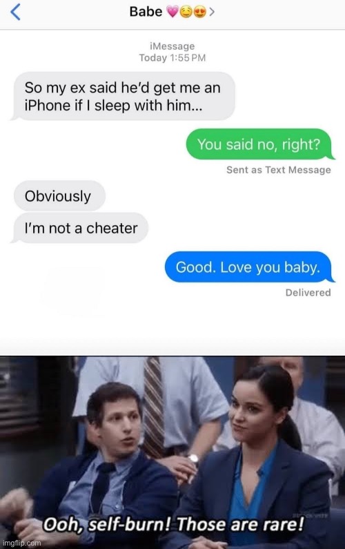 “Not a cheater” | image tagged in ooh self-burn those are rare,cheater | made w/ Imgflip meme maker