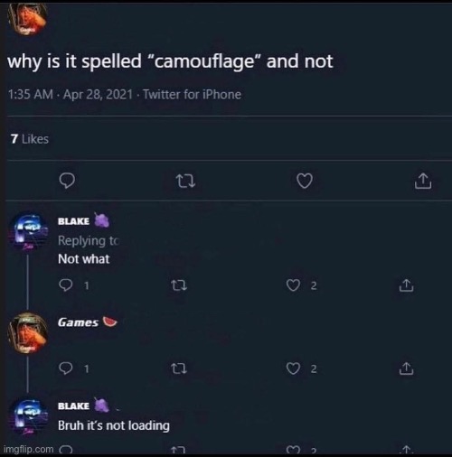 Camouflage | image tagged in visual pun,camouflage | made w/ Imgflip meme maker