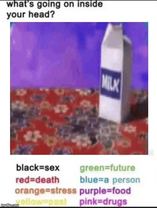 The inner machinations of my mind are an enigma. | image tagged in what's going on inside your head | made w/ Imgflip meme maker