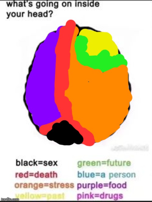 What's going on inside your head? | image tagged in what's going on inside your head | made w/ Imgflip meme maker