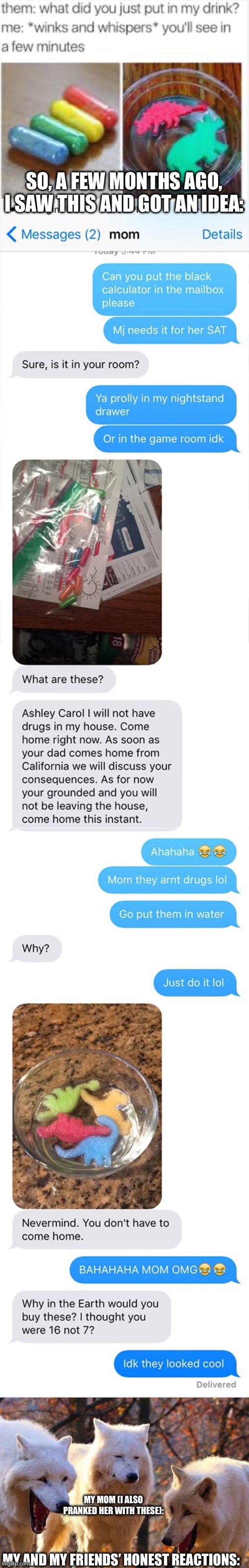 Who had tried this? | SO, A FEW MONTHS AGO, I SAW THIS AND GOT AN IDEA:; MY MOM (I ALSO PRANKED HER WITH THESE):; MY AND MY FRIENDS’ HONEST REACTIONS: | image tagged in laughing wolf | made w/ Imgflip meme maker