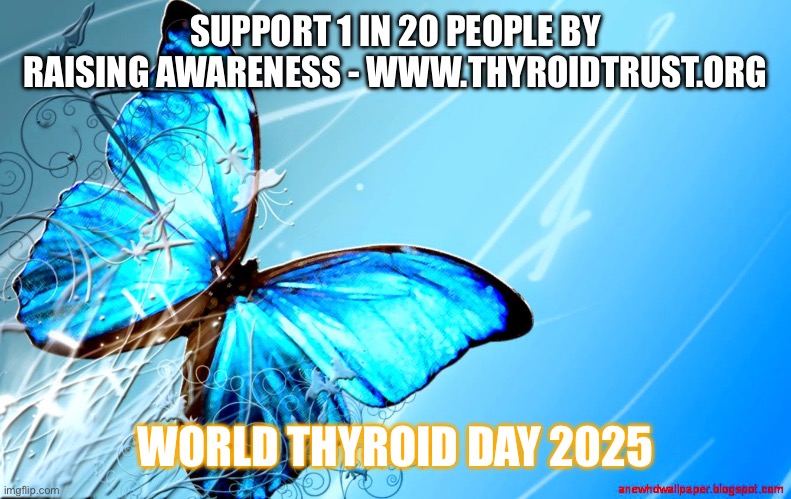 blue butterfly | SUPPORT 1 IN 20 PEOPLE BY RAISING AWARENESS - WWW.THYROIDTRUST.ORG; WORLD THYROID DAY 2025 | image tagged in blue butterfly | made w/ Imgflip meme maker