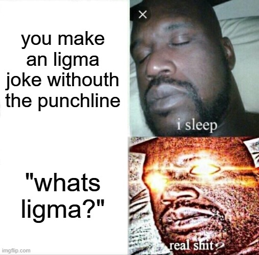 Ligma spheres. | you make an ligma joke withouth the punchline; "whats ligma?" | image tagged in memes,sleeping shaq | made w/ Imgflip meme maker