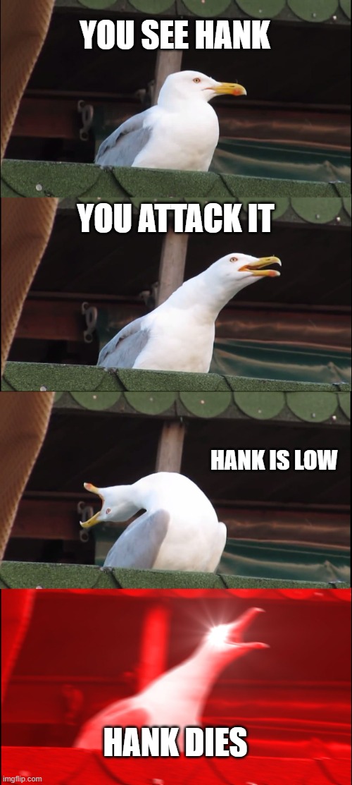 Inhaling Seagull Meme | YOU SEE HANK; YOU ATTACK IT; HANK IS LOW; HANK DIES | image tagged in memes,inhaling seagull | made w/ Imgflip meme maker