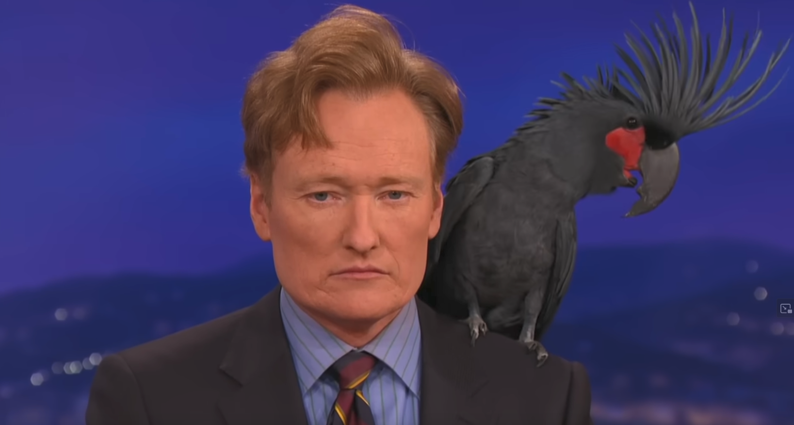 conan with bird Blank Meme Template