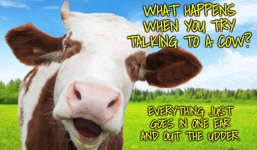 Laughing cow | WHAT HAPPENS WHEN YOU TRY TALKING TO A COW? EVERYTHING JUST GOES IN ONE EAR AND OUT THE UDDER. | image tagged in laughing cow | made w/ Imgflip meme maker