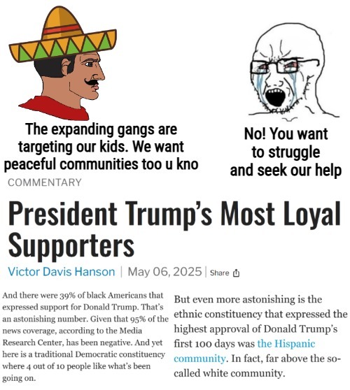 image tagged in american politics,illegal immigration,democrats | made w/ Imgflip meme maker