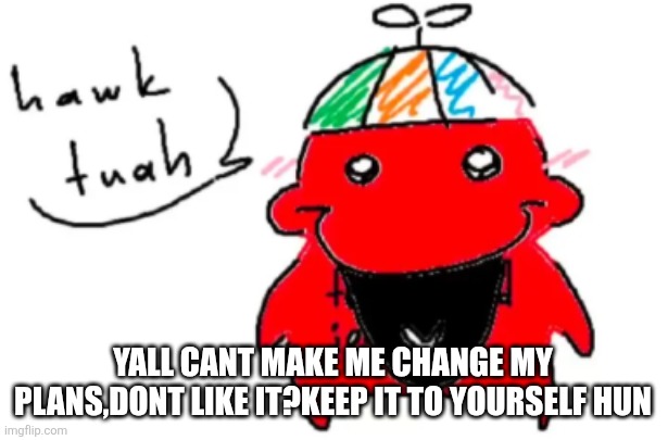 coolkid | YALL CANT MAKE ME CHANGE MY PLANS,DONT LIKE IT?KEEP IT TO YOURSELF HUN | image tagged in coolkid | made w/ Imgflip meme maker