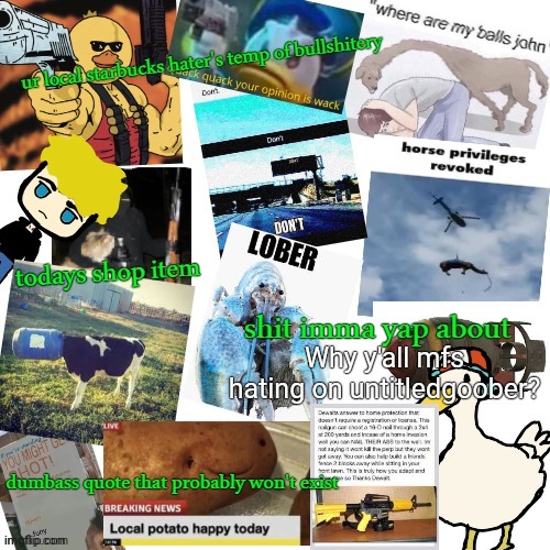 What did he do? | Why y'all mfs hating on untitledgoober? | image tagged in temp of bullshitery | made w/ Imgflip meme maker