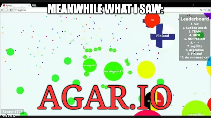 agario | MEANWHILE WHAT I SAW:; AGAR.IO | image tagged in agario | made w/ Imgflip meme maker