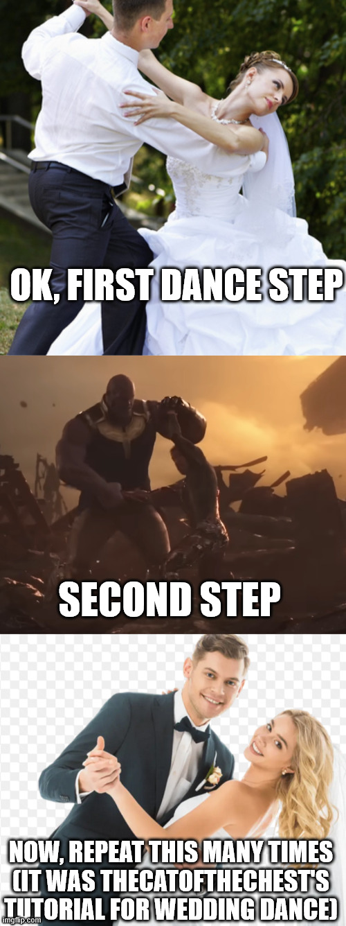 TheCatOfTheChest's tutorial for wedding dance | OK, FIRST DANCE STEP; SECOND STEP; NOW, REPEAT THIS MANY TIMES
(IT WAS THECATOFTHECHEST'S TUTORIAL FOR WEDDING DANCE) | image tagged in marvel,avengers infinity war,iron man,thanos,dance,wedding | made w/ Imgflip meme maker