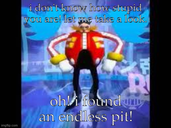robotnik twitter | i don't know how stupid you are! let me take a look. oh! i found an endless pit! | image tagged in robotnik twitter | made w/ Imgflip meme maker