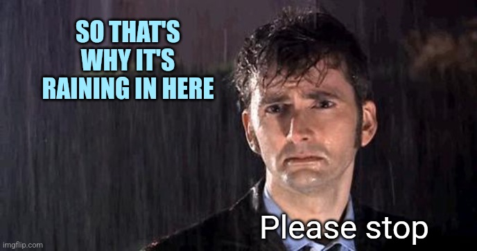 doctor who rain | SO THAT'S WHY IT'S RAINING IN HERE Please stop | image tagged in doctor who rain | made w/ Imgflip meme maker