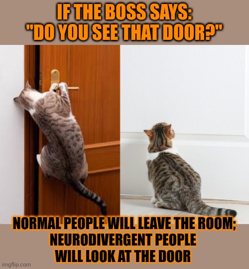 This #lolcat wonders why hoo-mens won't say what they mean | IF THE BOSS SAYS: "DO YOU SEE THAT DOOR?"; NORMAL PEOPLE WILL LEAVE THE ROOM;
NEURODIVERGENT PEOPLE 
WILL LOOK AT THE DOOR | image tagged in understanding,adhd,neurodivergent,autism,lolcat | made w/ Imgflip meme maker