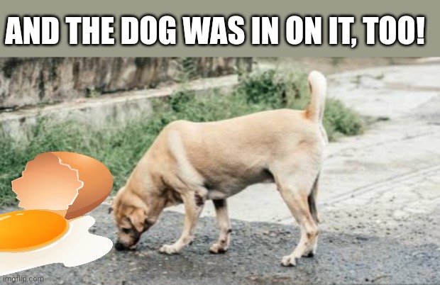 AND THE DOG WAS IN ON IT, TOO! | made w/ Imgflip meme maker