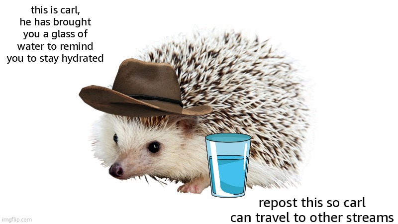carl has brought you a glass of water | this is carl, he has brought you a glass of water to remind you to stay hydrated; repost this so carl can travel to other streams | image tagged in carl the hedgehog | made w/ Imgflip meme maker