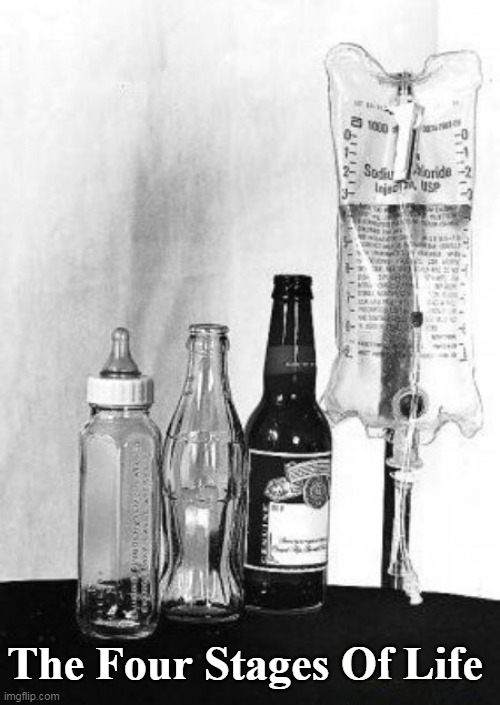 Dr. Kavorkian Approved Meme | The Four Stages Of Life | image tagged in assisted suicide meme | made w/ Imgflip meme maker