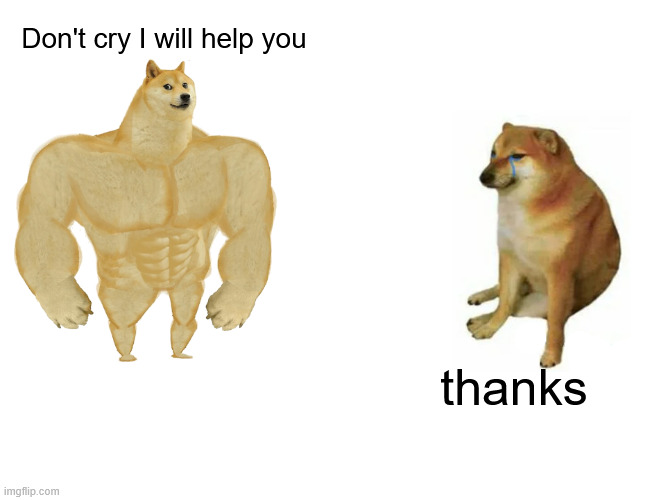 thank | Don't cry I will help you; thanks | image tagged in memes,buff doge vs cheems | made w/ Imgflip meme maker