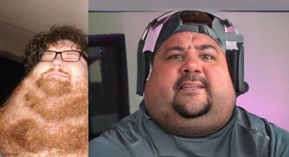 Discord mod on the left, imgflip site mod on the right | image tagged in obese neckbearded dude,fat guy | made w/ Imgflip meme maker