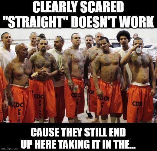 Criminals are Gay | CLEARLY SCARED "STRAIGHT" DOESN'T WORK; CAUSE THEY STILL END UP HERE TAKING IT IN THE... | image tagged in prison | made w/ Imgflip meme maker