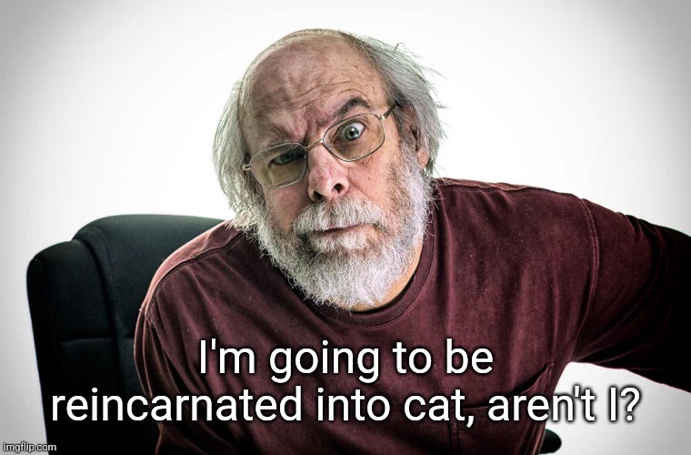 grumpy old man | I'm going to be reincarnated into cat, aren't I? | image tagged in grumpy old man | made w/ Imgflip meme maker