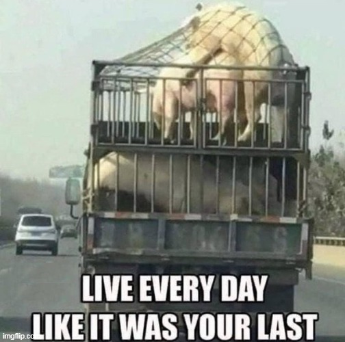 Slaughterhouse Credo | image tagged in last day advice meme | made w/ Imgflip meme maker