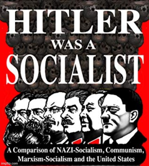 not calling communists nazis but nazism is a socialist ideology | image tagged in how to make liberals and conservatives mad | made w/ Imgflip meme maker